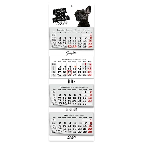 Primus Print XXL 4-Monats Mehrblockkalender 2024 - Wandkalender - Monatskalender - Blockkalender - verschiedene Motive (französische Bulldogge) von Primus-Print.de