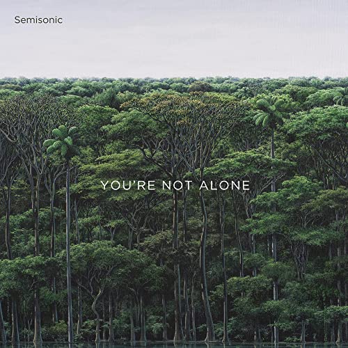 You'Re Not Alone [Vinyl Single] von Proper Music Brand Code