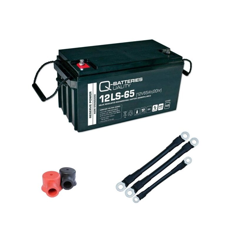 USV-Akku Q-Batteries 216V-Anlage 18 x 12LS-65 für Sicherheitsbeleuchtung Inkl. Zubehör von Q-Batteries