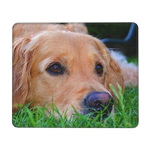 QQLADY Golden Retriever Mauspad mit rutschfester Gummiunterseite, wasserdichtes Mauspad mit genähtem Rand, Mauspad für Schreibtisch, kabellose Maus, Gaming-Mauspad für Computer, Laptop, Heimbüro von QQLADY