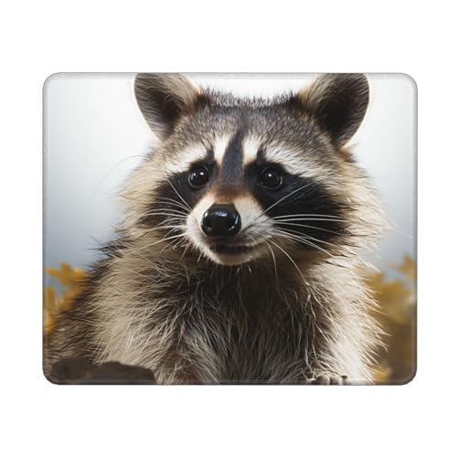 Mouses Pad Hairy Raccoon Mouses Mat Washable Non-Slip Mouses Mat for Man Woman Laptop Gaming Desk Pad Desktop Protector Mat for Office Home Work von QVUEagriSJ