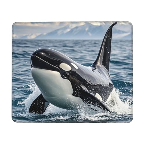 Mouses Pad Killer Whale Mouses Mat Washable Non-Slip Mouses Mat for Man Woman Laptop Gaming Desk Pad Desktop Protector Mat for Office Home Work von QVUEagriSJ