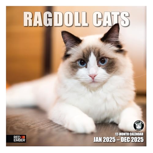 RED EMBER Ragdoll Cats Wandkalender 2025, 12 Monate, 30,5 x 61 cm, offen, dickes und stabiles Papier, Geschenk, Kalender 2025 von RED EMBER