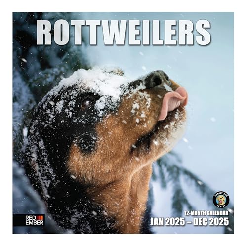 RED EMBER Rottweilers Monats-Wandkalender 2025, zum Aufhängen, 30,5 x 61 cm, dickes und stabiles Papier, Geschenk, niedlicher Hund, hübsche Rotties von RED EMBER