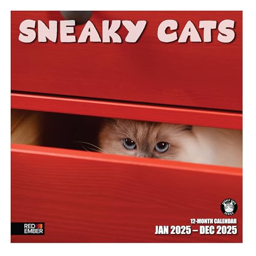 RED EMBER Sneaky Cats Monats-Wandkalender 2025, zum Aufhängen, 30,5 x 61 cm, dickes und stabiles Papier, Geschenk, für Kinder, Teenager, niedliche, lustige Kätzchen, schlaue Kätzchen von RED EMBER