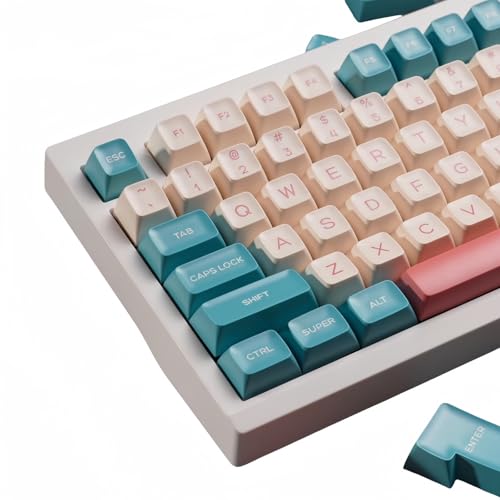 PBT-Tastenkappen-Set – Candy Keycap-Set Double Shot PBT Keycaps RSA Profile 160 Tasten Custom Keycaps Set für mechanische Tastatur-Tastenkappen von REDQIN