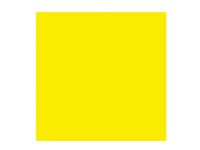 Rembrandt Oil Colour Tube Permanent Yellow Light 283 von REMBRANDT