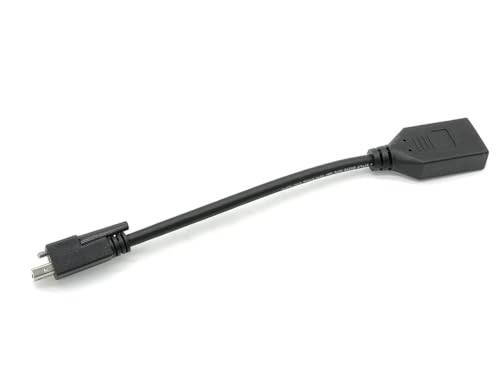 RIKYJIC Mini-DisplayPort-Stecker auf DisplayPort-Buchse, Kabel mit Schraubverschluss, 0,23 m von RIKYJIC