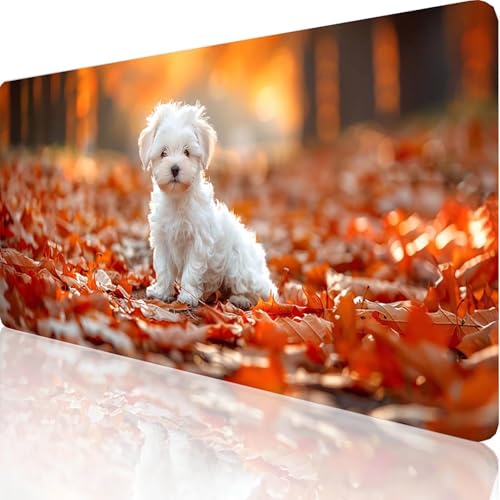 Gaming Mauspad Weiß Motiv, Hund Mousepad XXL 1200x600x3mm, Wasserfest Anti-Rutsch Schreibtisch Mouse Pad verbessert Präzision und Geschwindigkeit, Gaming Zubehör für Office Geschenk Zimmer Deko M-F-I von RNXAOPEN