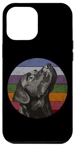 Hülle für iPhone 15 Plus Labrador Retriever, Vintage-Stil, Schwarz von Raf THE ARTIST Designs