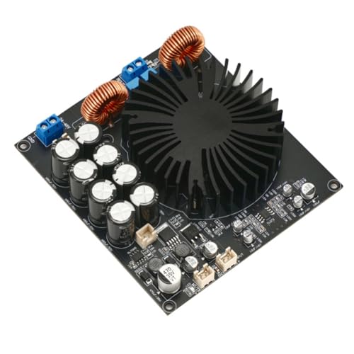 Rancrvy 600 W TPA3255D Endstufe Audio Board D Mono Sound Verstärker Lautsprecher Home Audio Verstärker mit Heizkörper von Rancrvy