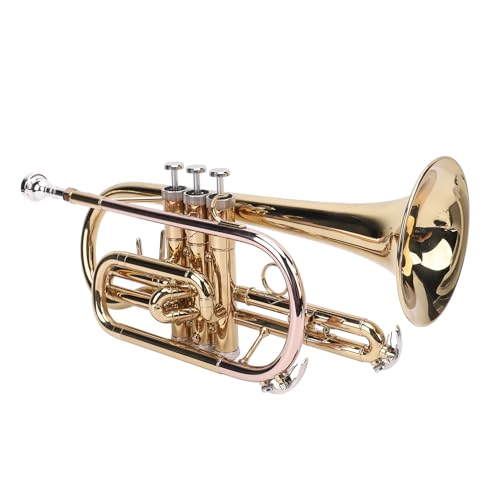 Rankomu Bb Standard-Trompeten-Set für französisches Horn Prure Reduzierventil, Messing-Waldhorn-Mundventil, Instrumenten-Accory, Silber-Finish, Ventil-Ersatzkomponente von Rankomu