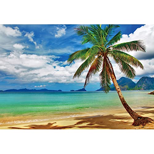 Renaiss 2.5x1.8m Meer Natur Landschaft Fotografie Hintergrund Strand Meer Palme Hintergrund Hawaii Urlaub Party Dekor Kinder Braut Portrait Shooting Vinyl Fotostudio Requisiten Renaiss 2.5x1.8m Meer Natur Landschaft Fotografie Hintergrund Strand Meer Palme Hintergrund Hawaii Urlaub Party Dekor Kinder Braut Portrait Shooting Vinyl Fotostudio Requisiten von Renaiss