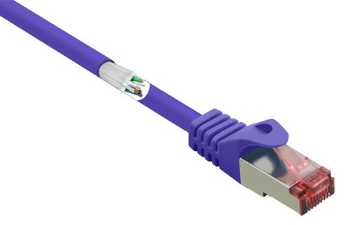 Renkforce RF-4724916 RJ45 Netzwerkkabel, Patchkabel CAT 6 S/FTP 0.50m Violett mit Rastnasenschutz, v von Renkforce