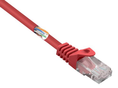 Renkforce RF-5043990 RJ45 Netzwerkkabel, Patchkabel CAT 5e U/UTP 0.15m Rot mit Rastnasenschutz von Renkforce