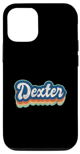 Hülle für iPhone 15 Dexter Vorname Junge Vintage Stil 70er 80er Jahre Personalisiert von Retro Groovy Name Fathers Day outfit For Men