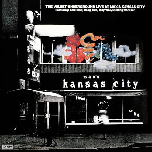 Live at Max'S Kansas City:Expanded Version(Syeor24 [Vinyl LP] von Rhino