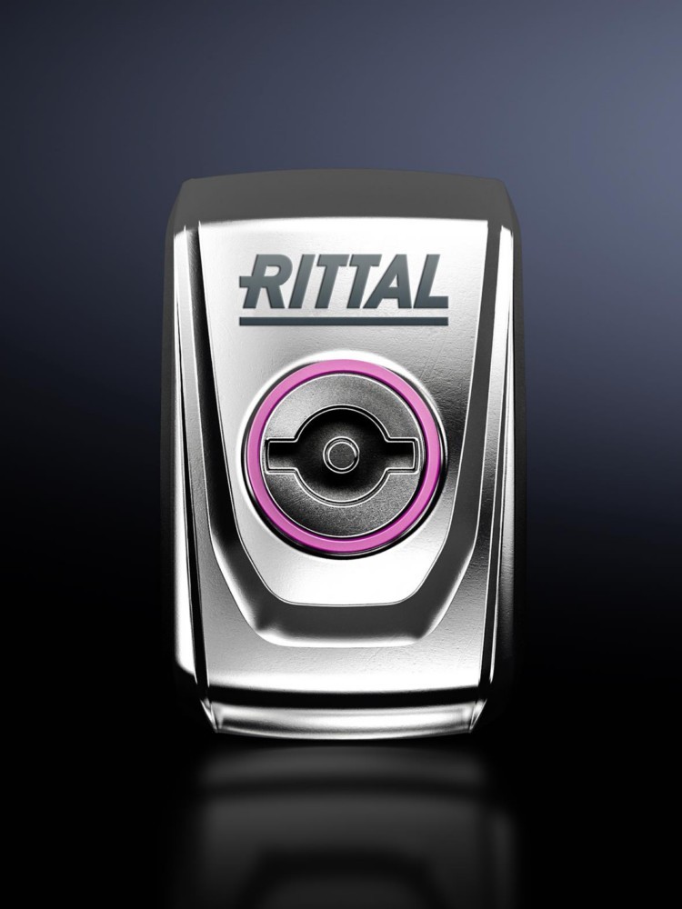 Rittal Vorreiberverschluss SZ 2304.100 2304100 Rittal Vorreiberverschluss SZ 2304.100 2304100 von Rittal