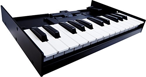 Roland Boutique K-25M Keyboard Unit von Roland
