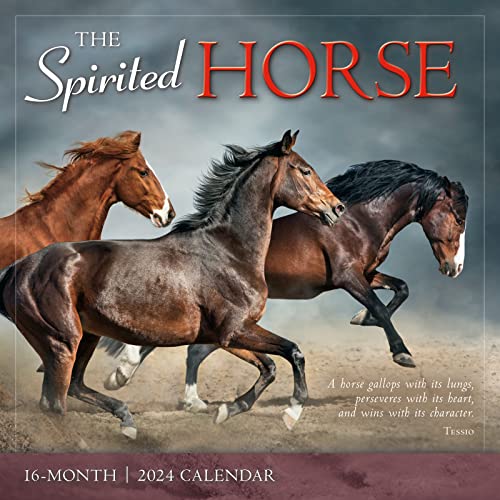 The Spirited Horse von SELLERS PUBLISHING, INC.