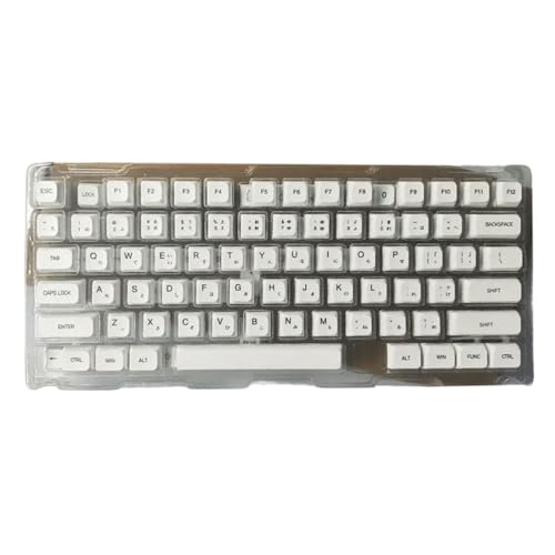 120 Tastenkappen, Weiß, für mechanische Tastatur, Englisch, Japanisch, Russisch, Koreanisch, 120 Tasten von SELiLe