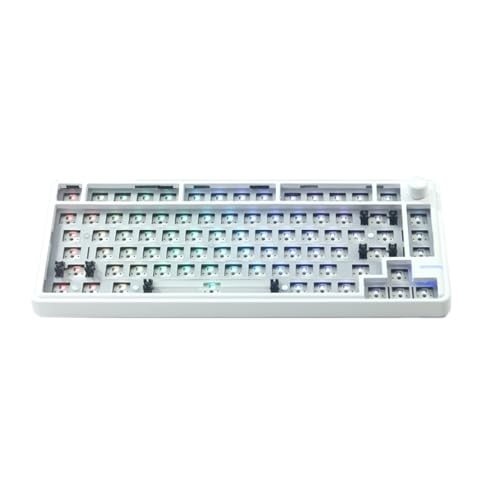 SELiLe LS02 Mechanisches Tastatur-Set, praktischer Schalter, Ersatz, 3 Modi, BT5/2,4 GHz/USBC, Hot-Swappable Hintergrundbeleuchtung, LS02 Mechanisches Tastatur-Set von SELiLe