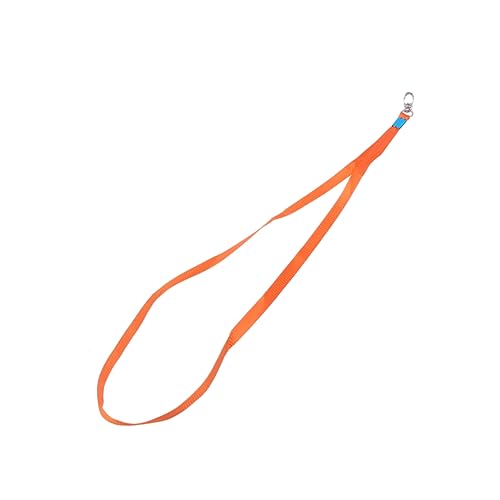 SEWACC 1 Satz Tragegurt Lanyard Neck Strap Office Lanyard Project Lanyard Conference Lanyard Handy-lanyard Abzeichen Schlüsselband Halsband Für Abzeichen Halter Lanyards Orange 50 Stück von SEWACC