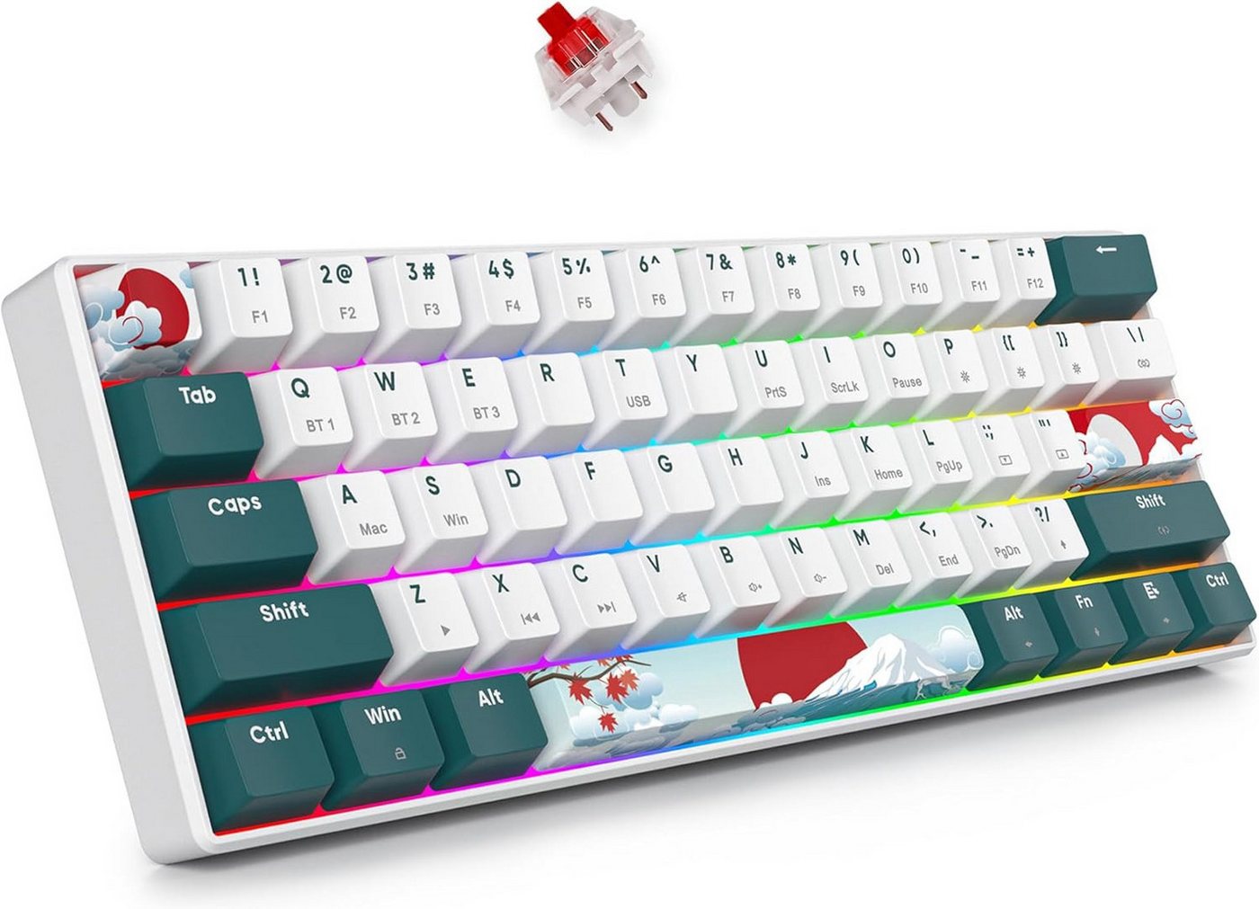 SOLIDEE RGB-Hintergrundbeleuchtung Gaming-Tastatur (MX-Stil,Geräuschlose Gateron Red,ölbeständige PBT-Kappen,Anti-Ghosting) von SOLIDEE