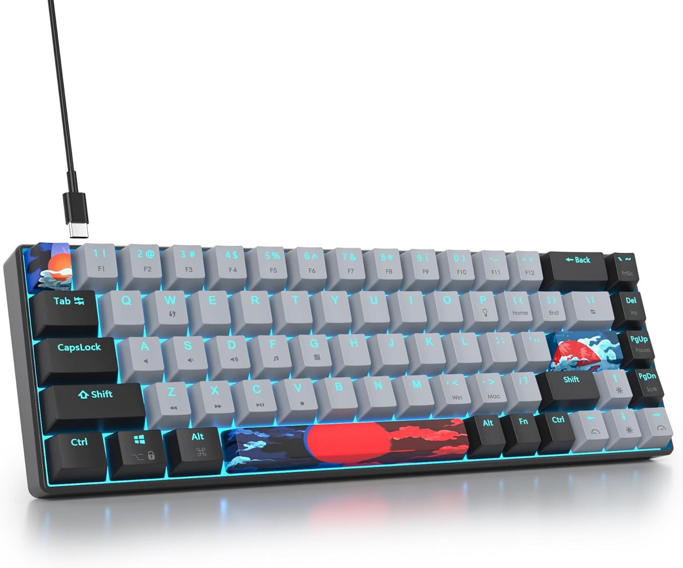 SOLIDEE RGB Hintergrundbeleuchtung Gaming-Tastatur (Ultrakompakte Tastatur für FPS-Spieler mit Linearen Roten Schaltern) von SOLIDEE