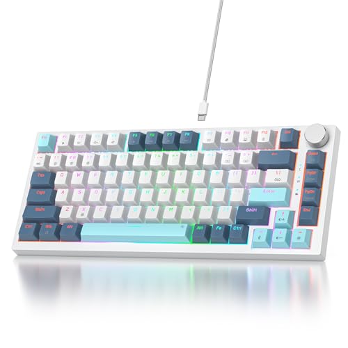 SOLIDEE Verkabelte Mechanische Gaming Tastatur 75 Prozent,hot-swap-fähige Mechanische Tastatur mit Gasket Struktur,RGB Hintergrundbeleuchtung,82 Tasten TKL Tastatur mit Drehknopf(82 Shoko) von SOLIDEE