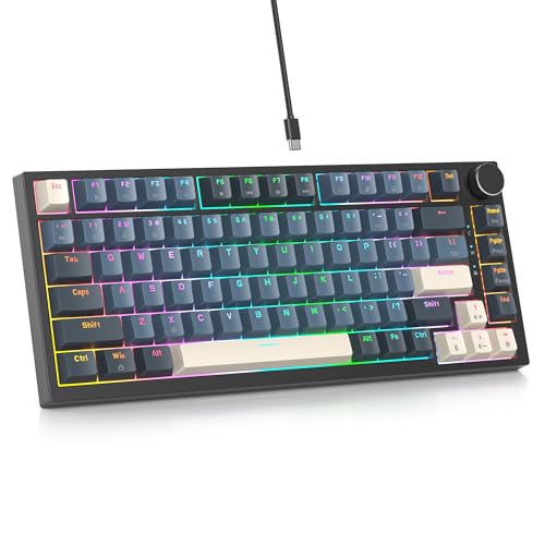 SbocKeeb Custom Gaming Tastatur 75 Prozent Hot-Swap,kabelgebundene Mechanische RGB Tastatur mit Dichtung und Schall absorbierenden Pads Programmierbare Amerikanische QWERTY V400 Apollo von SbocKeeb