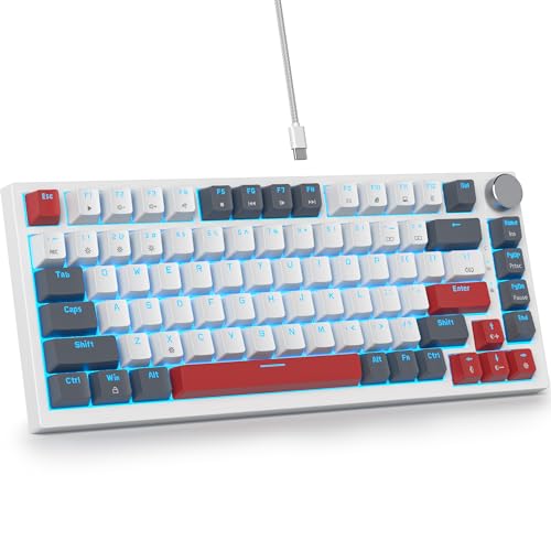 SbocKeeb Custom Gaming Tastatur 75 Prozent Hot-Swap,kabelgebundene Mechanische RGB Tastatur mit Dichtung und Schall absorbierenden Pads Programmierbare Amerikanische QWERTY V400 Gray White von SbocKeeb