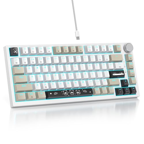 SbocKeeb Custom Gaming Tastatur 75 Prozent Hot-Swap,kabelgebundene Mechanische RGB Tastatur mit Dichtung und Schall absorbierenden Pads Programmierbare Amerikanische QWERTY V400 Heihuibai von SbocKeeb