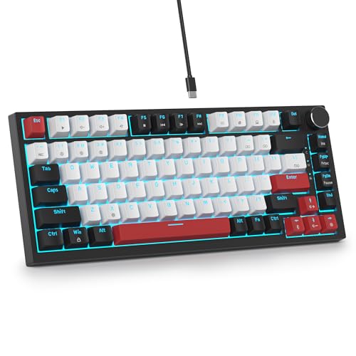 SbocKeeb Custom Gaming Tastatur 75 Prozent Hot-Swap,kabelgebundene Mechanische RGB Tastatur mit Dichtung und Schall absorbierenden Pads Programmierbare Amerikanische QWERTY V400 White von SbocKeeb