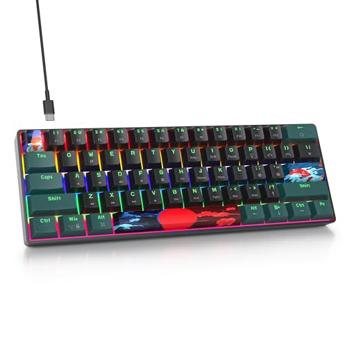 SbocKeeb Gaming Tastatur Mechanische, Mini Tastatur 60 Prozent Amerïka QWERTY, 61 Tasten Kabelgebundene Tastatur mit Regenbogen Hintergrundbeleuchtung für PC Gamer(Rainbow 61 Soundwave-B) von SbocKeeb