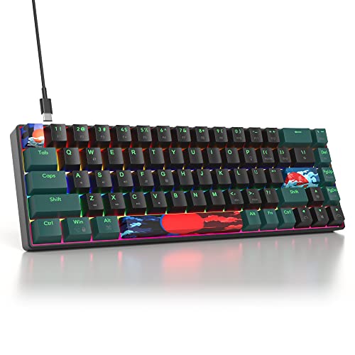 SbocKeeb Gaming Tastatur Mechanische 60 Prozent, Mini Tastatur 65 Prozent Amerïka QWERTY, 68 Tasten Tastatur Regenbogen Hintergrundbeleuchtung für PC Gamer（GT68-Rainbow/Soundwave-B） von SbocKeeb