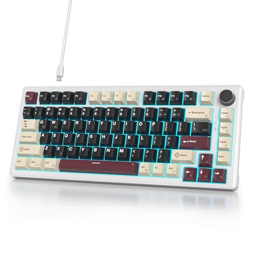 SbocKeeb V500 Mechanische Tastatur mit Knopf, Amerikanische QWERTY 75% Kabelgebundene Gaming-Tastatur, Dichtung Hot Swap, Vorgeschmierte Weiß Schalter RGB, für PC, MAC Roma von SbocKeeb