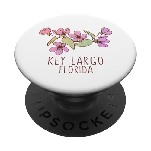 Boynton Beach Florida Wildblumen | Boynton Beach FL PopSockets mit austauschbarem PopGrip von Scenic Florida Designs