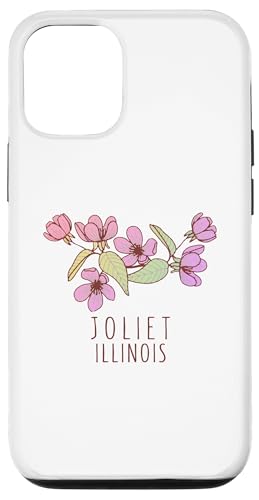 Hülle für iPhone 14 Pro Joliet Illinois Wildblumen | Joliet DE von Scenic Illinois Designs