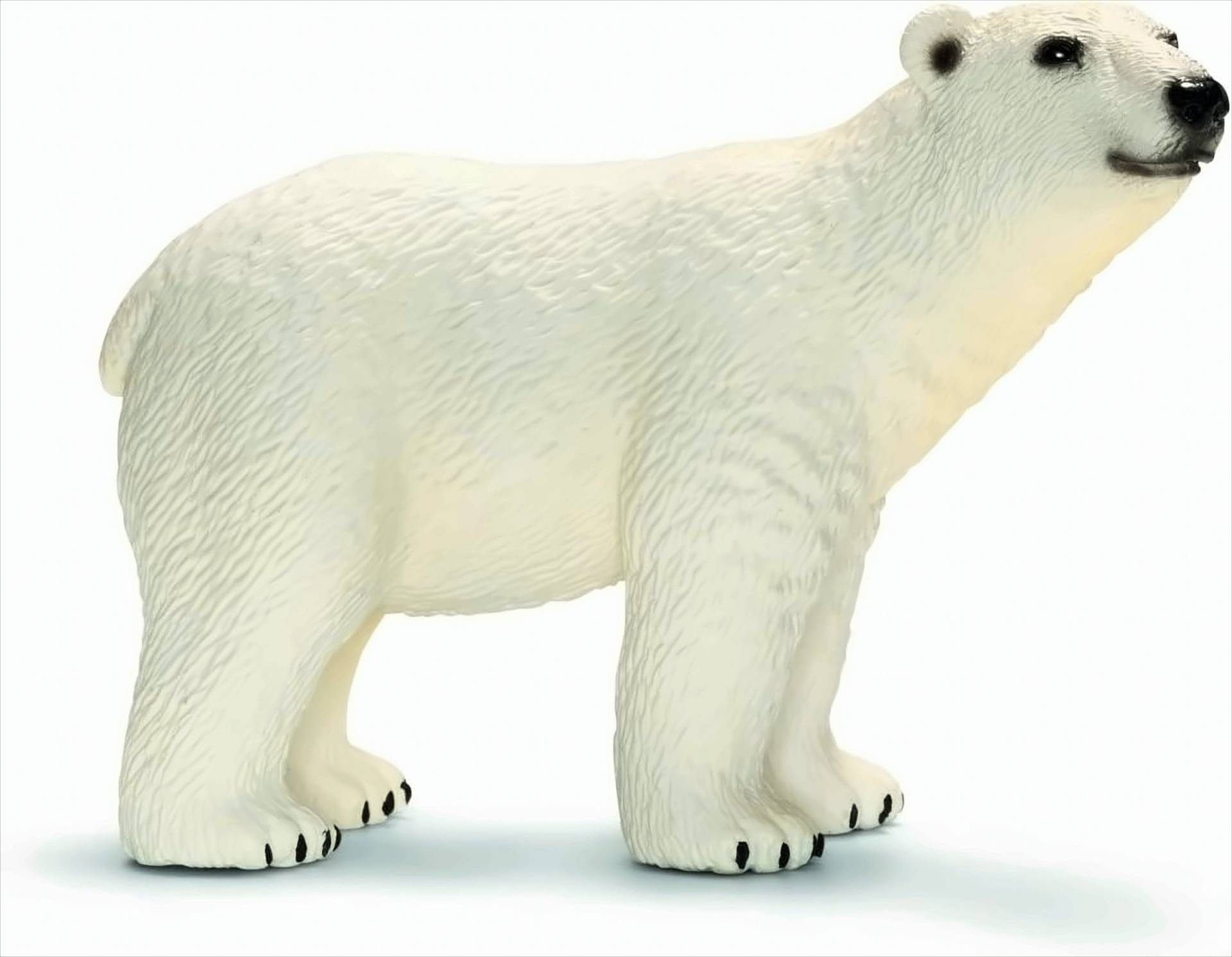 SCHLEICH 14659 Eisbär von Schleich GmbH