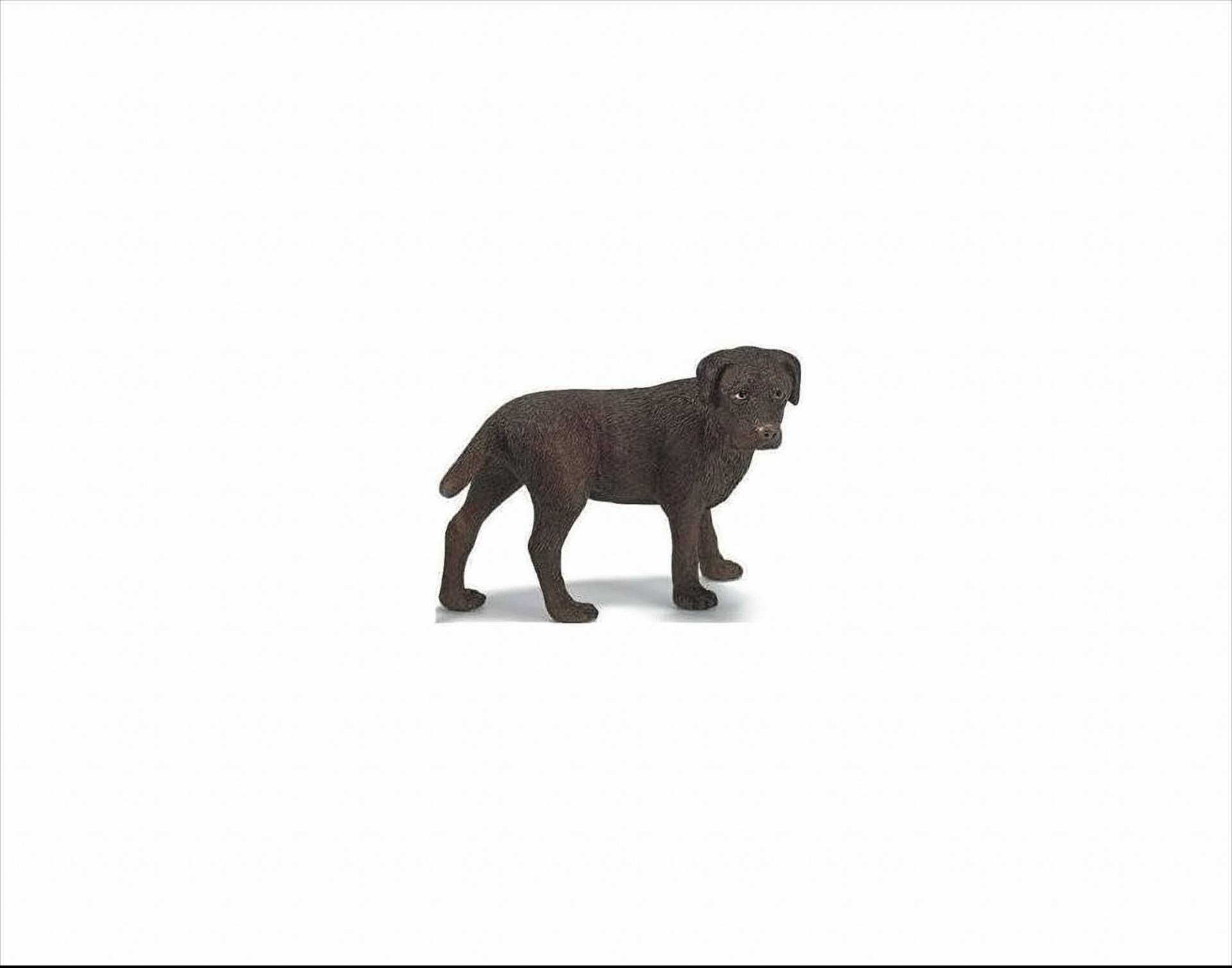 Labrador Hündin von Schleich GmbH