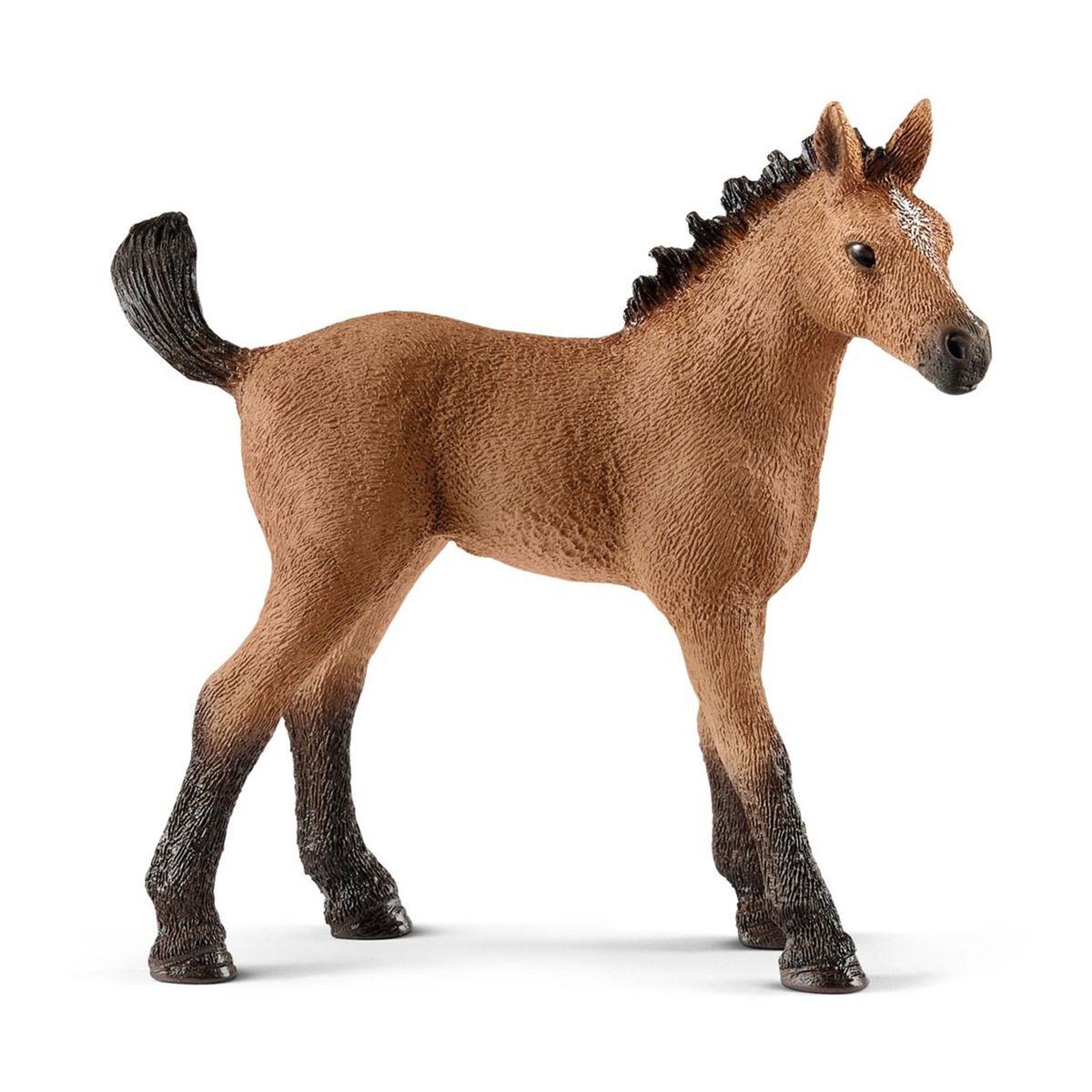 SCHLEICH - Horse Club, Quarter Horse Fohlen (5 ct) von Schleich GmbH