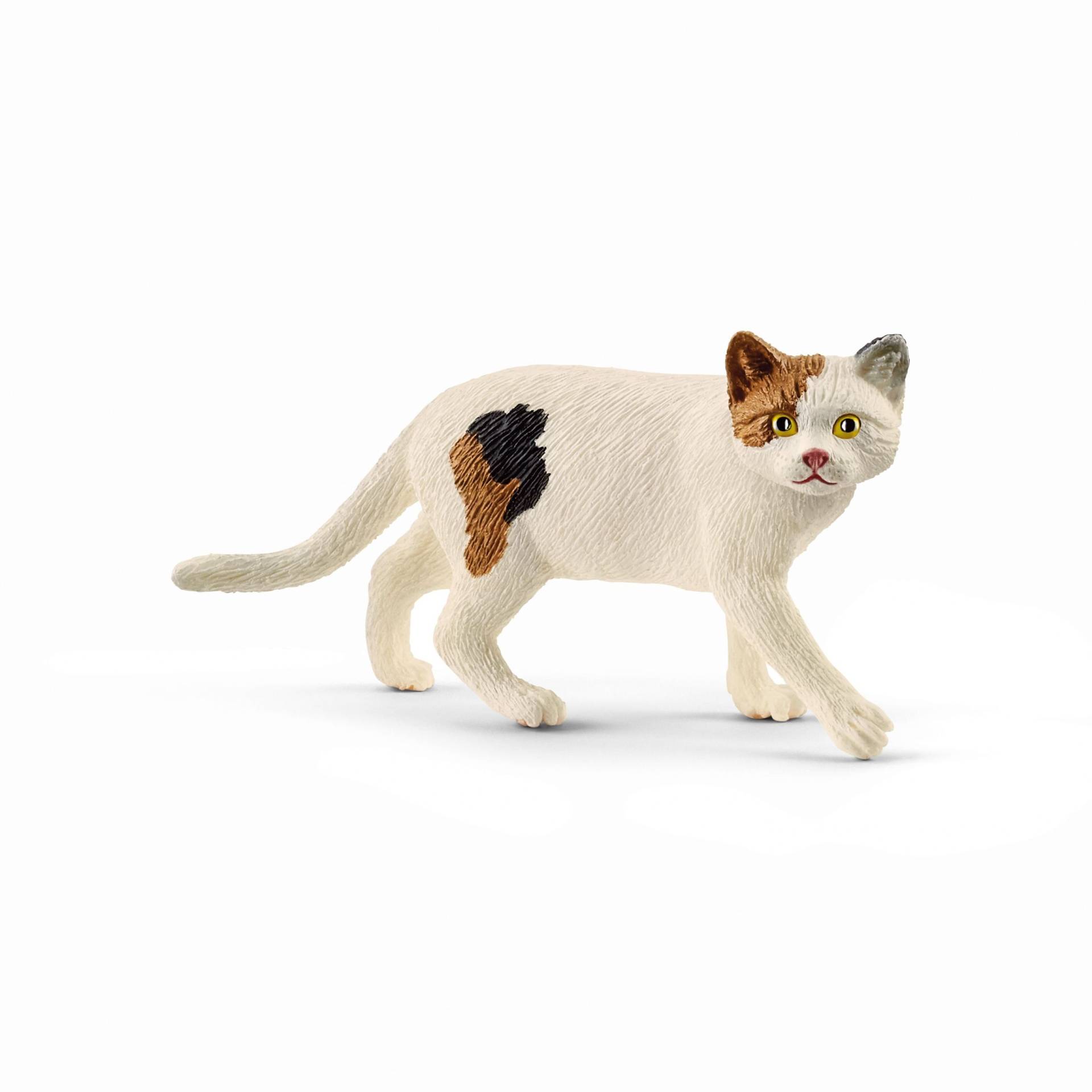 Schleich 13894 Amerikanische Kurzhaarkatze von Schleich GmbH