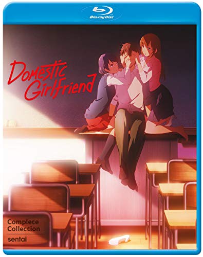 Domestic Girlfriend (2 Blu-Ray) [Edizione: Stati Uniti] von Section 23