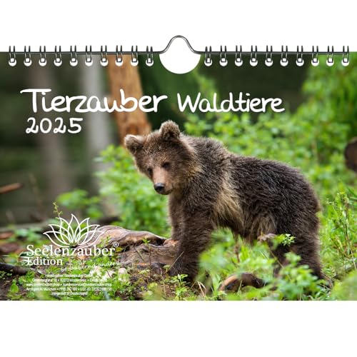 Tierzauber Waldtiere DIN A5 Wandkalender für 2025 Tiere im Wald - Seelenzauber von Seelenzauber