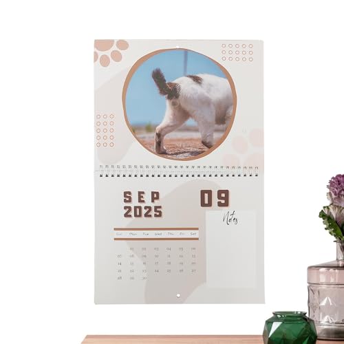 Katzenarsch-Kalender 2025, Lustiger Katzen-Wandkalender 2025, Katzenarschloch-Jahresplaner, 12-Monats-Katzen-Wandkalender für Familie, Freunde, Kalender, Pferde von Senermter