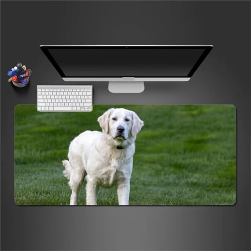 Gaming Mauspad 600x300x2 mm Extended Mousepad XXL Desk Mat Genähte Kanten rutschfeste Gummi Base für Gaming Büro Zuhause (Hundewiese) von Senyanr