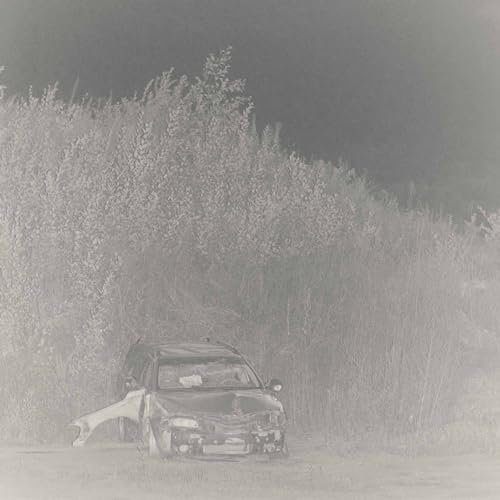 Statik [Vinyl LP] von Smalltown Supersound / Cargo