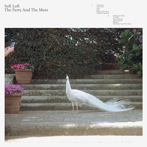 The Party And The Mess [Vinyl LP] von Soft Loft (Membran)