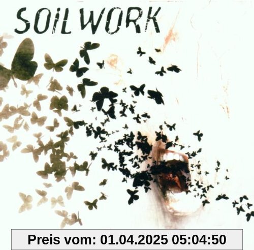 Natural Born Chaos von Soilwork